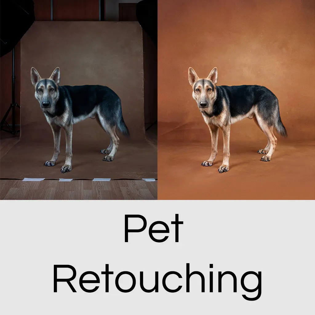 Pet Retouching