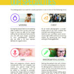 Page 4 - PIE Brochure EN